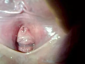 Sempurna palsu bokep ...