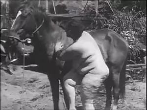 Mempesona setengah d ...