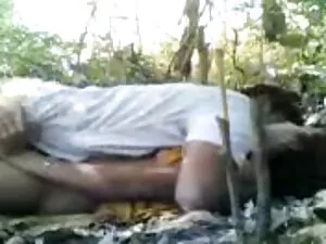 Spesies kastanye bok ...