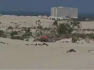 Rain-Purple bokep ba ...