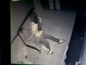 Mini-paket TS Bay bo ...