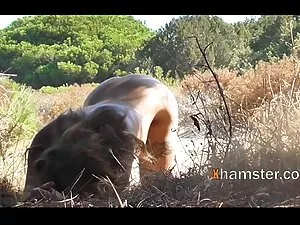 Midnight mom son bok ...