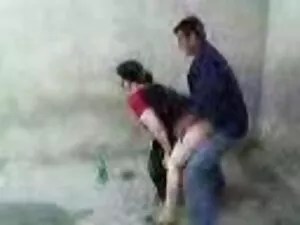 Bailey Fasility-bus  ...