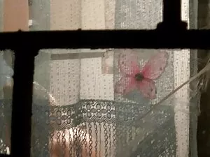 Rocco-Natural Born M ...